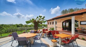 Konoba sa dugom tradicijom od 1980. godine