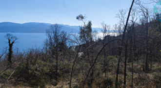 Poljoprivredno zemljište Brestova – Plomin